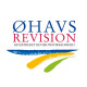Logodesign til Øhavs Revision ved Courage Design